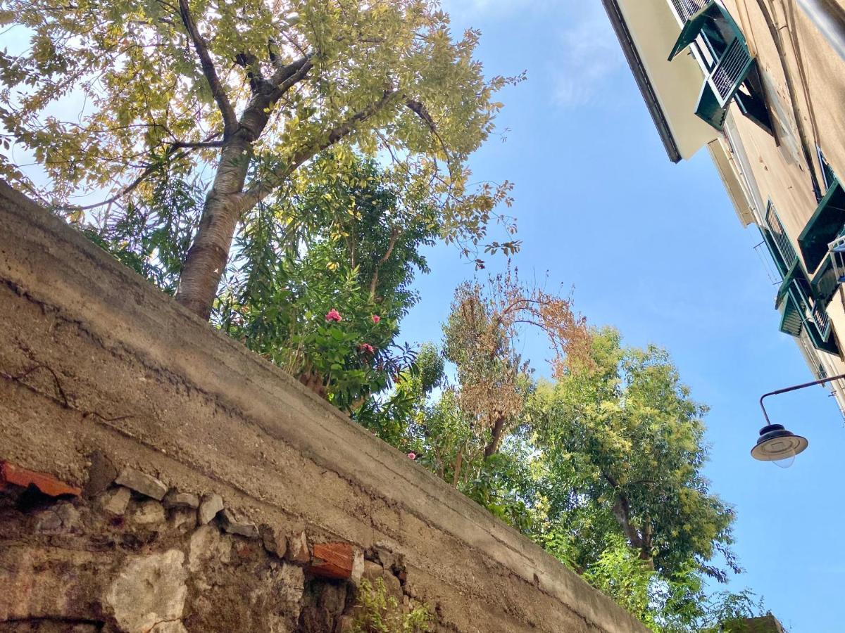 Casaviva - Lovely Bilo In Ancient Genoa Apartment ภายนอก รูปภาพ